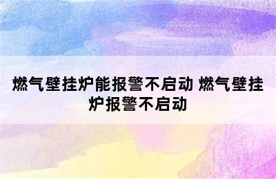 燃气壁挂炉能报警不启动 燃气壁挂炉报警不启动